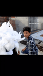 jujutsu bhaijaan.mp4
