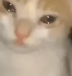0ff4lbz0ny2r.jpeg
