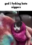 caption-6.gif