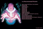 Parasite.jpg