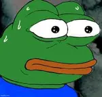 zp1iq4d1ul8.jpeg