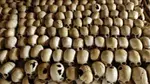 RwandanGenocide.jpg