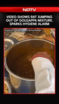 Viral_Video_Shows_Rat_Jumping_Out_Of_Golgappa_Mixture_Sparks_Hygiene_Alarm_1080P.mp4