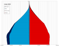 India_single_age_population_pyramid_2020 (1).png