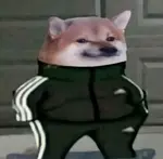 ko6hn8gxybe.png