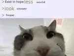 xejdea0lcjj.jpeg