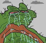 images (47).jpeg