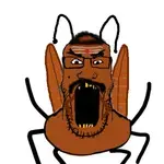 bwnd4hoxi9i.png