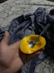 8vf485qy7e5.jpg