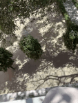 ax5d1p8nx99.mp4