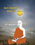 qogsda5il4o.jpeg