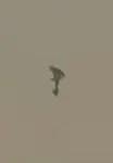 eghy6k9jbwi.jpg