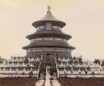 ye5ng65dmz.png