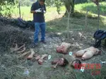 Women-from-Bodo-community-raped-and-dismembered-by-Muslims.jpg