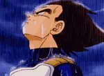 vegeta-raining.gif