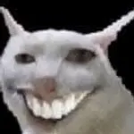 vgfw0jhwt7m.jpg