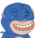 qm76ubvdq.png