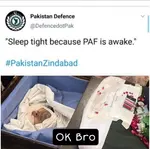 0uzu39vixi1h.jpg