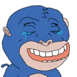 r2h6u3tg1sr.png