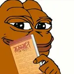 qumzm08qhvh.jpeg