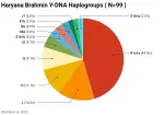 brahmin-haryana-y-dna-and-mitochondrial-dna-v0-b8tqjj6tgl8e1.jpg