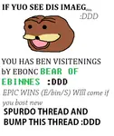 eo2il8r5j3n.png