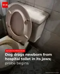 h4sowsun9bn.jpg