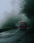 459068164_1180986783182952_6901281607616861733_n.jpeg