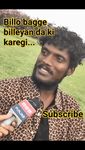 Libaas(bilo bagay billeyan  da ki karegi) kaka#kaka#punjabi#song#punjabisong.mp4
