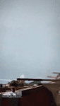 vid.mp4