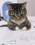 1749368481713464.jpg