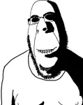 IMG_20250619_230559.png