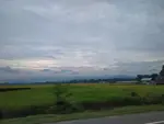 LRM_EXPORT_20250620_202743.jpg