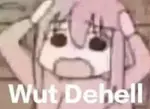 um6m7t6oh3a.jpeg