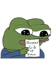 fwjfesbv.png