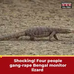 images (22).jpeg