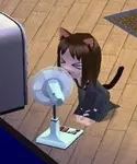 osdt1qgrq6r.jpg
