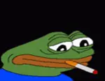 x6qelk9zk6.gif