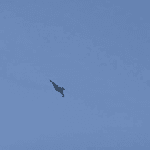 xjpc78nsctj.mp4