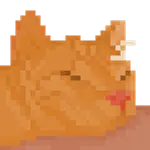 pxxq4ky8nr.gif