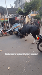 vid.mp4