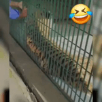 hkum0nqxw0i.mp4