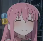 bocc.jpg