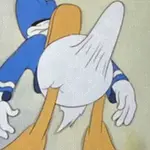 vgc4jabqwui.jpeg
