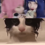 g9tm1gx41jb.webm