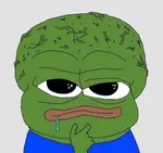 images.jpeg