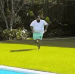 593jdcanpdt.gif