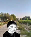 xsd5bj06gq.png