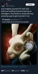 522nzo51eum.png