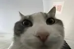 awww7znqm3u.jpg